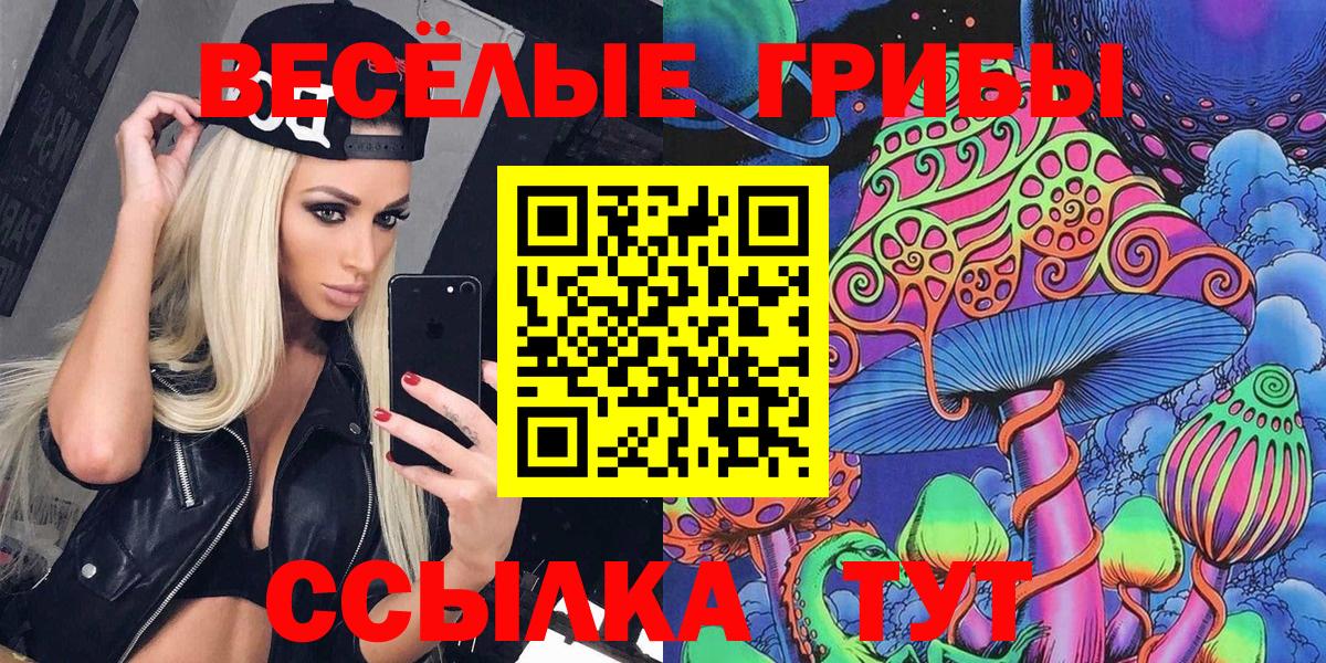 Лыткарино  Галлюциногенные грибы прущие грибы  Вход с VPN  Галлюциногенные грибы Magic Shrooms 