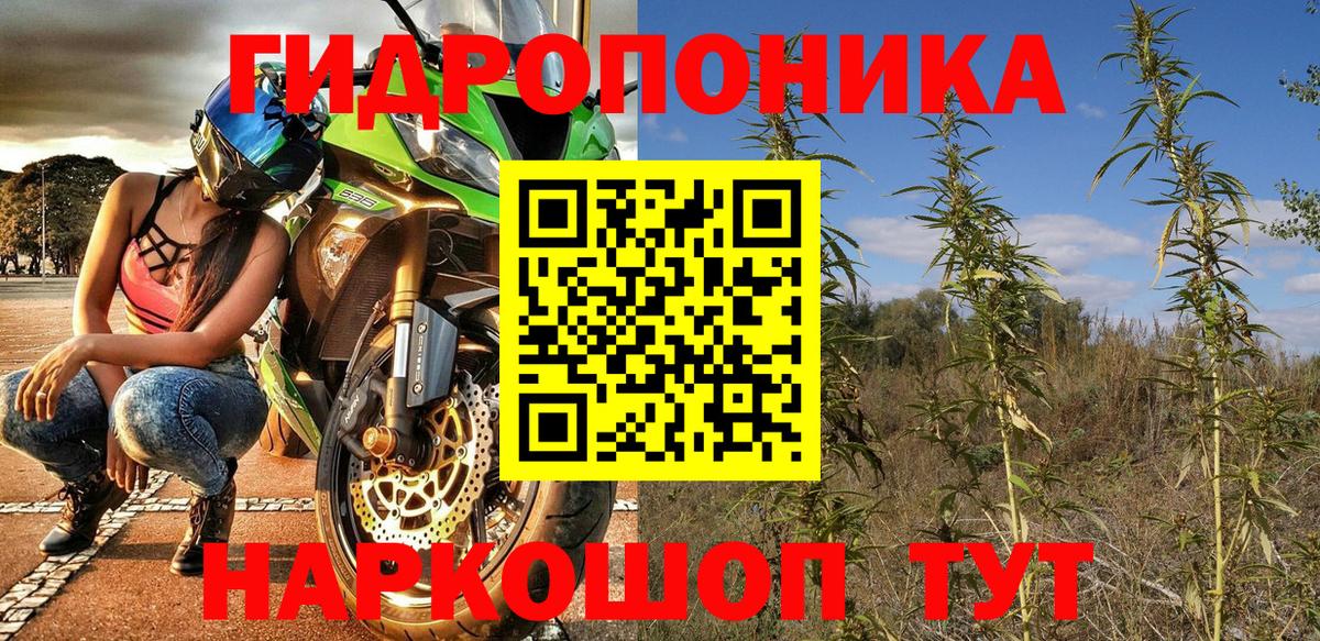 Каннабис OG Kush Лыткарино